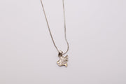Sterling Silver Texas shaped Necklace