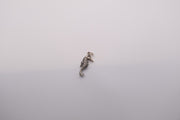 sterling silver seahorse charm