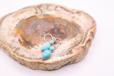 Sleeping Beauty Turquoise Earrings